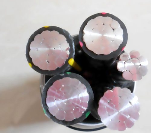 �X�Ͻ����w���~���w����