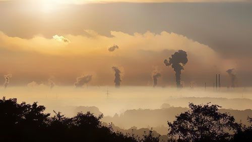 2019������(gu��)��Դ�ИI(y��)������̼�ŷ�ͬ���½�2.8%